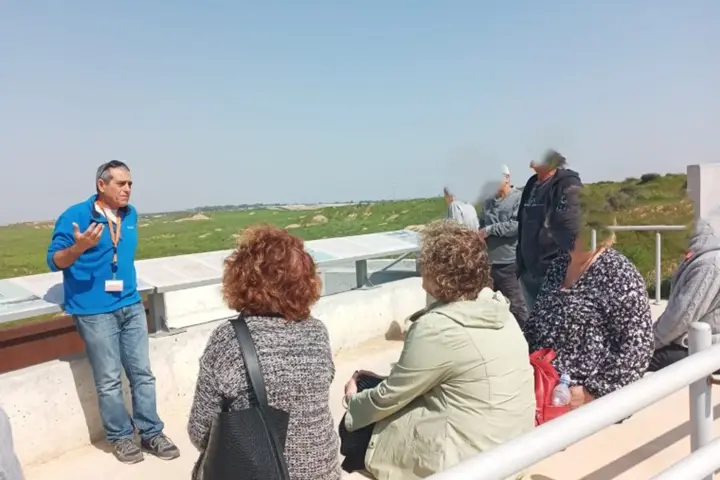 בארי