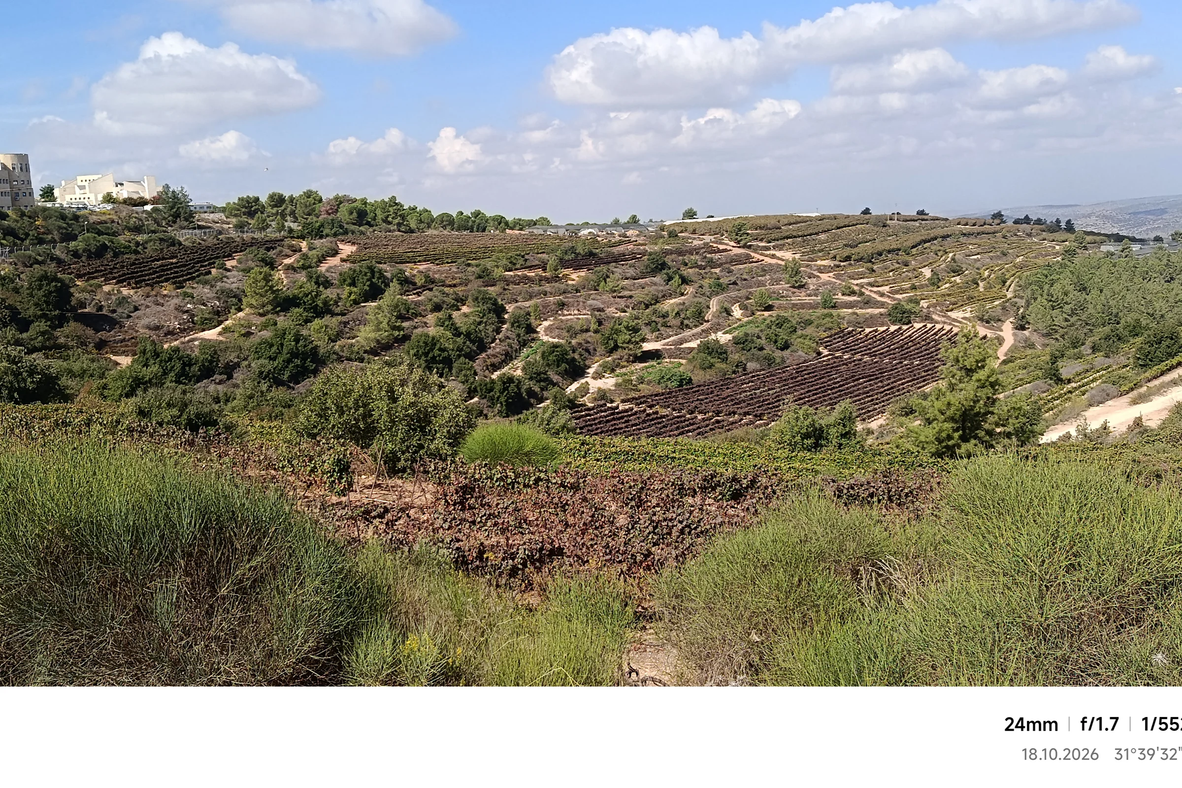 גוש עציון