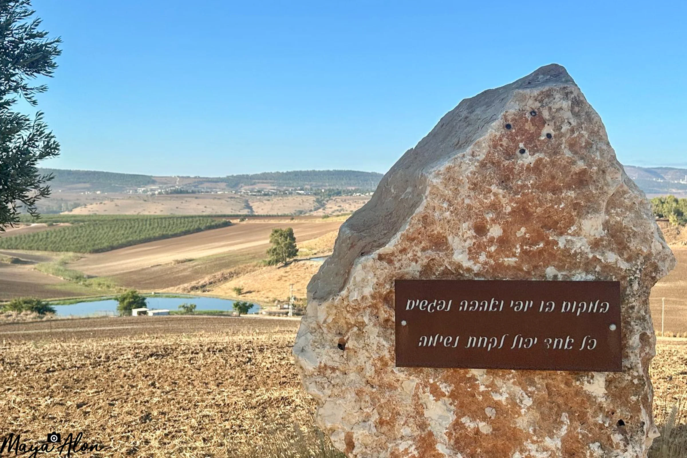 תבור