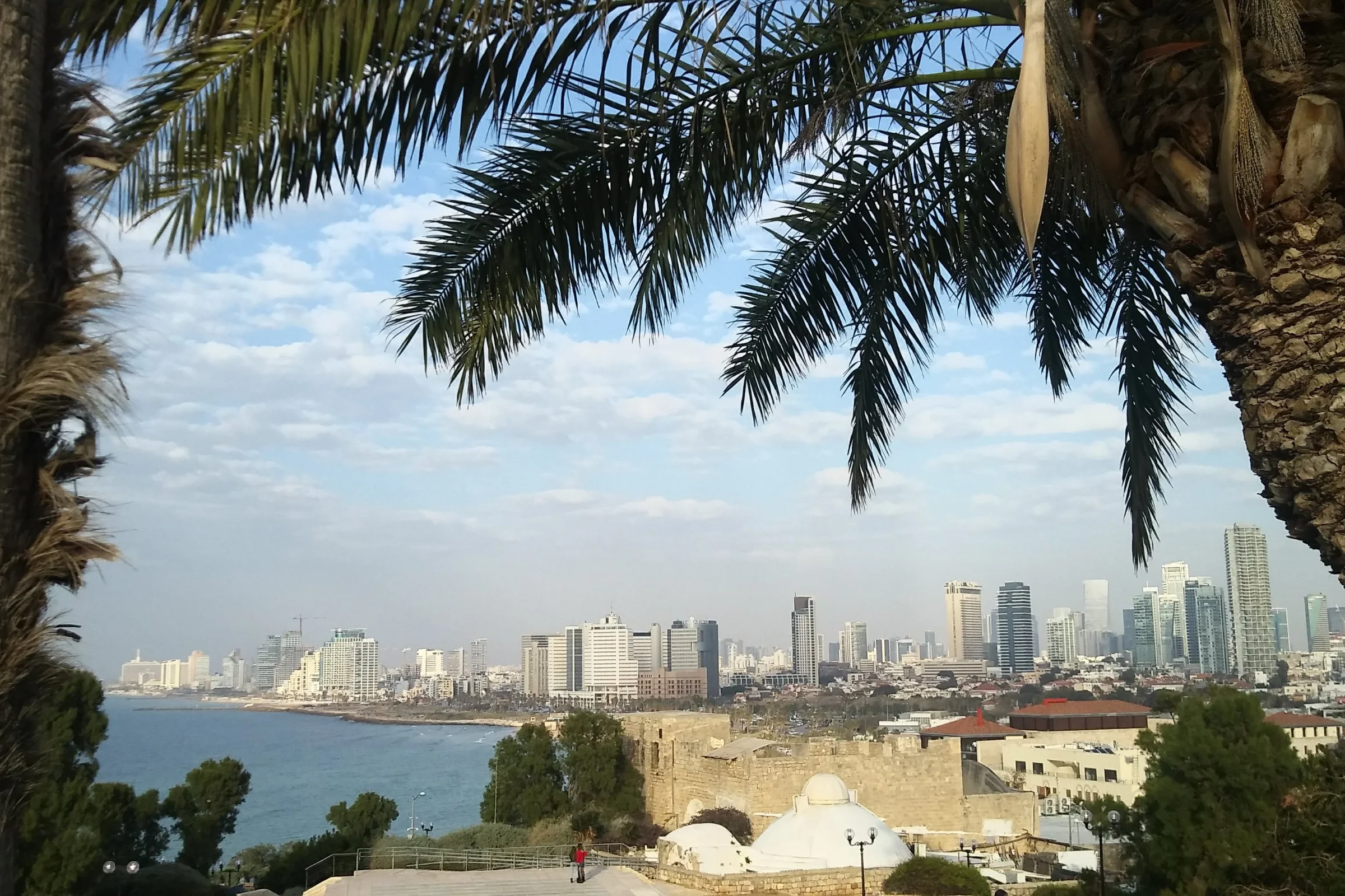יפו העתיקה – מי הזיז את התפוז שלי?