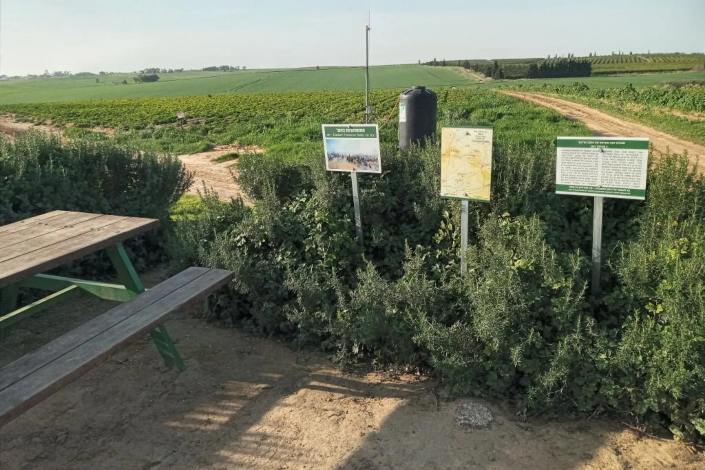 דרך היאומנרי, יער ניר משה'' הקרב על הוג' ויער בוטני