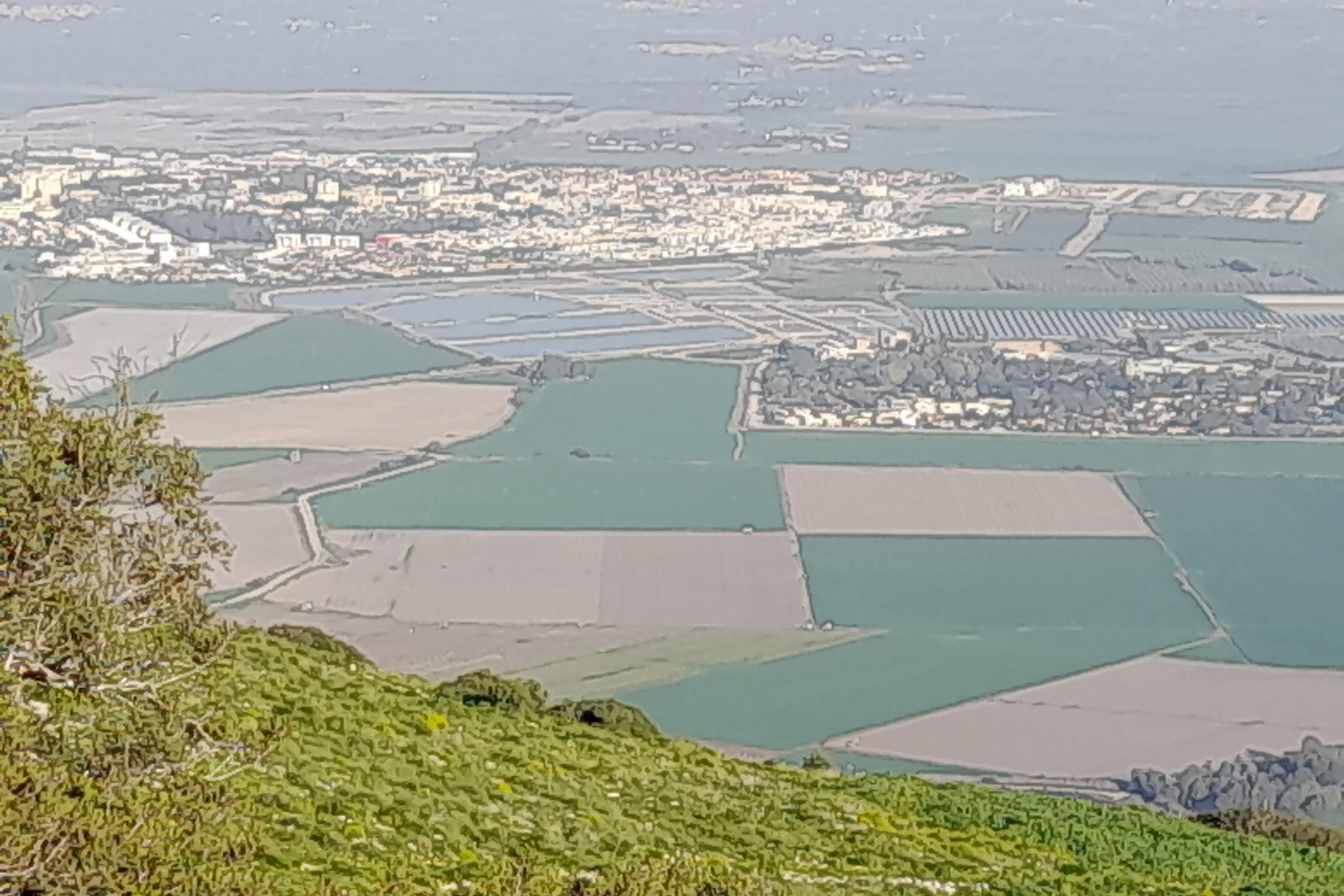 דרך המצפים