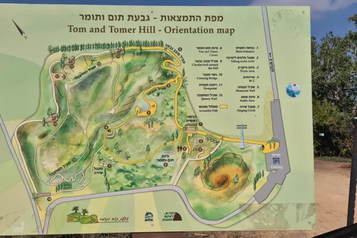 תום