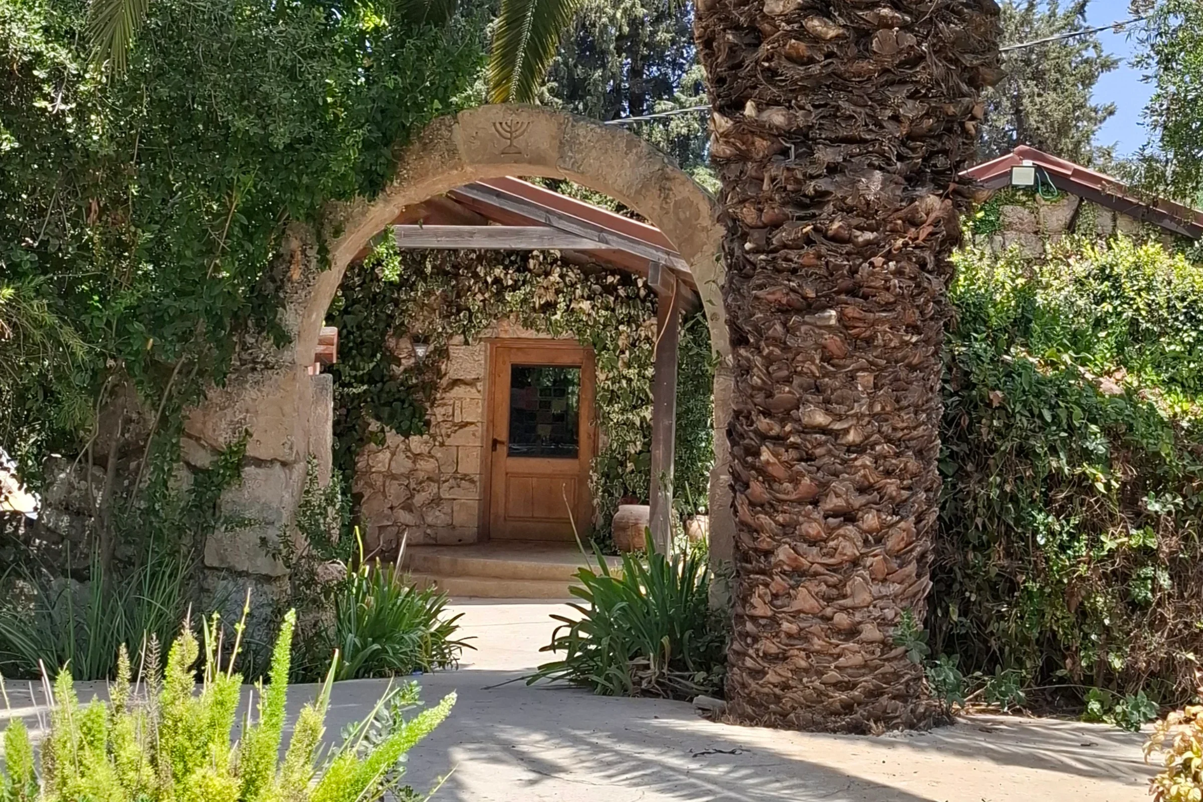 עין כרם ללא קסם – עבר, חברה ומציאות בכפר הרב-תרבותי