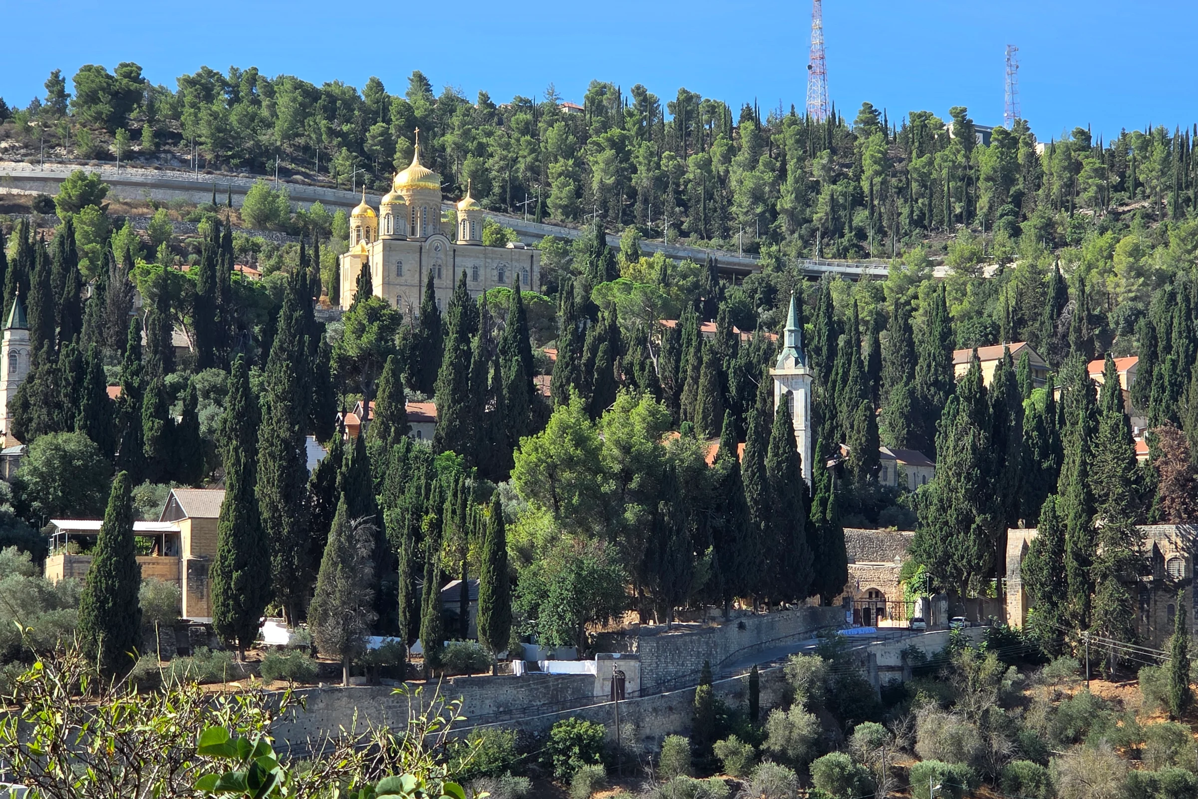 עין כרם