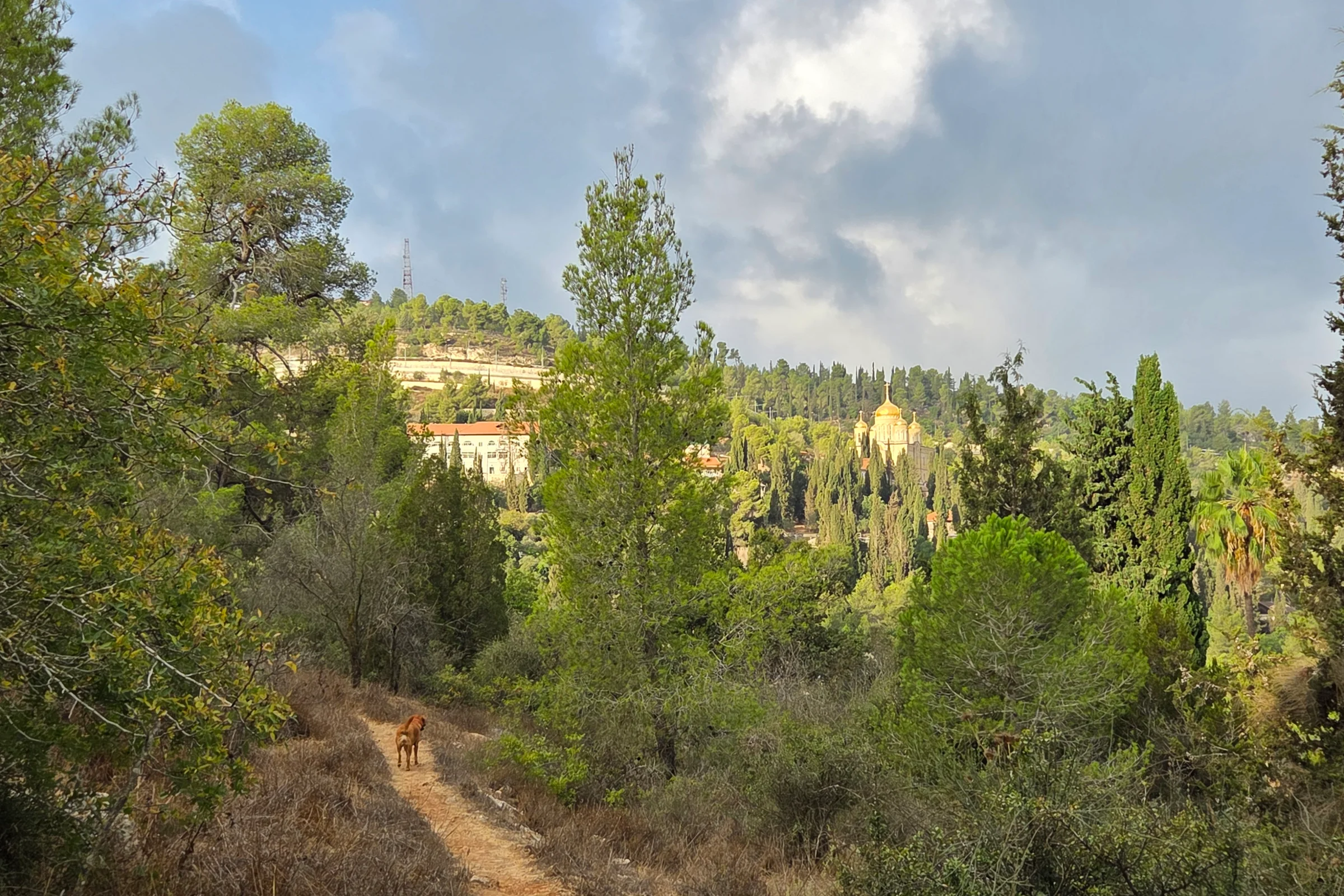 שביל סובב עין כרם – נוף, רוח ופיתוח