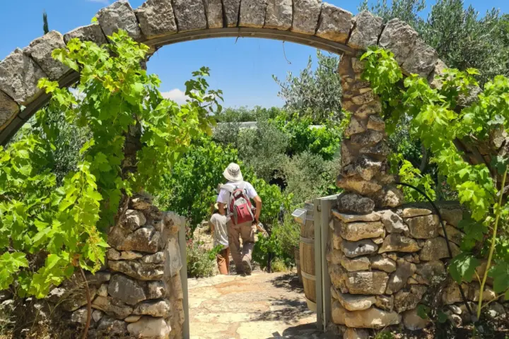מתת