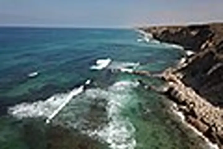 אפולוניה