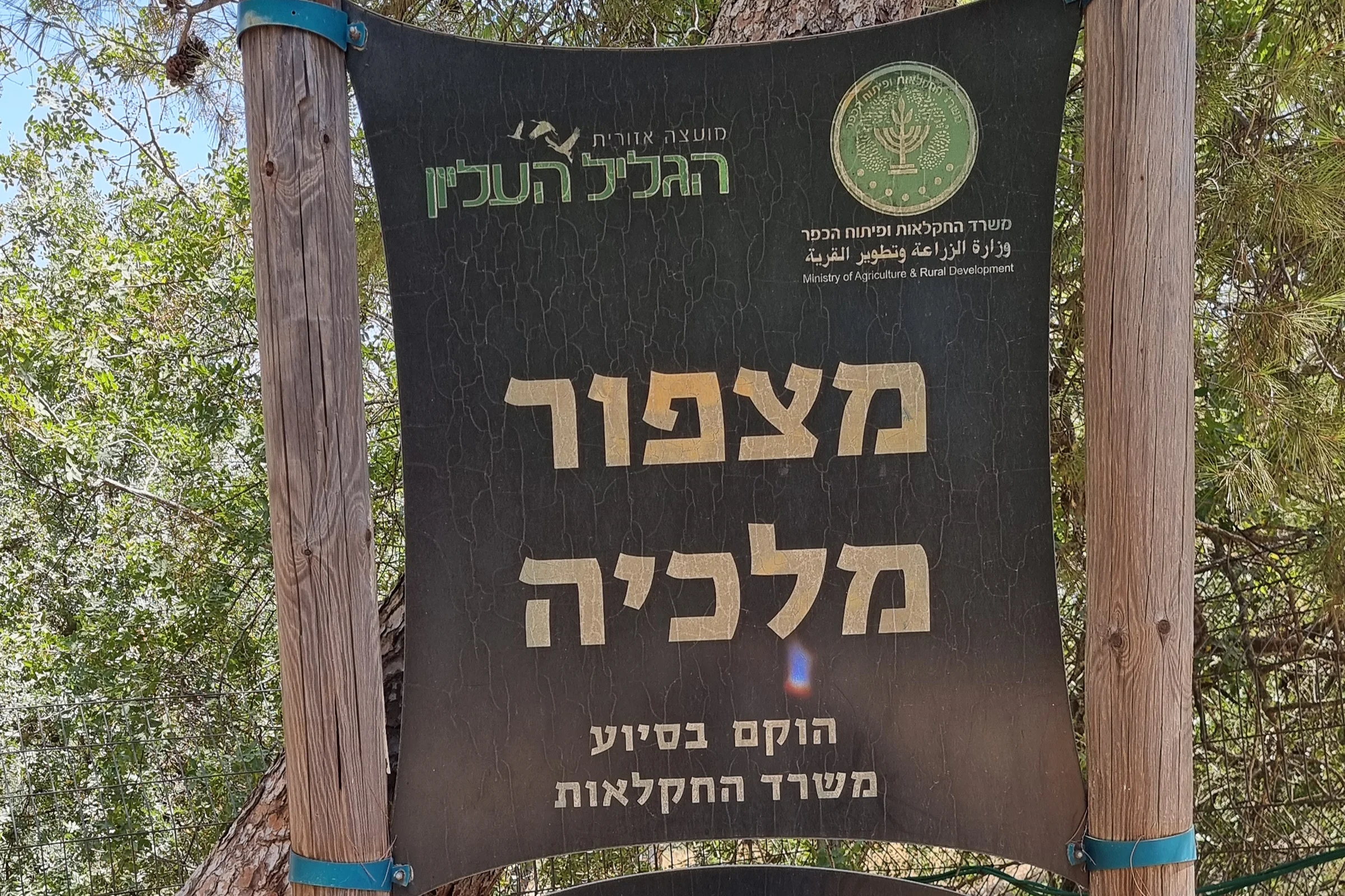 מלכיה