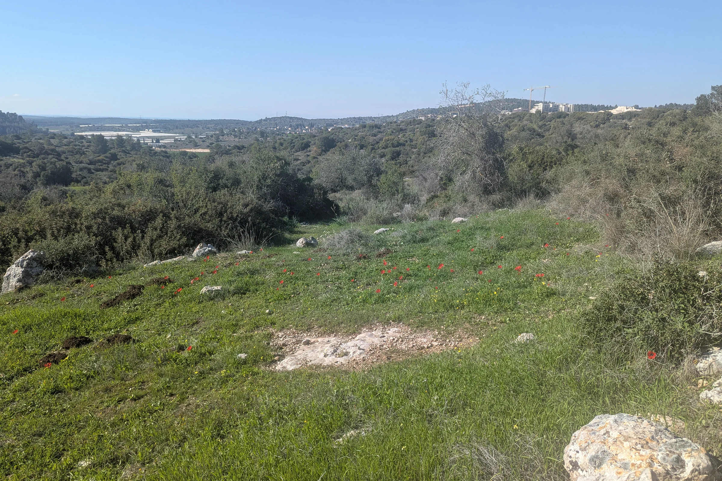 נוף של חירבת קייאפה