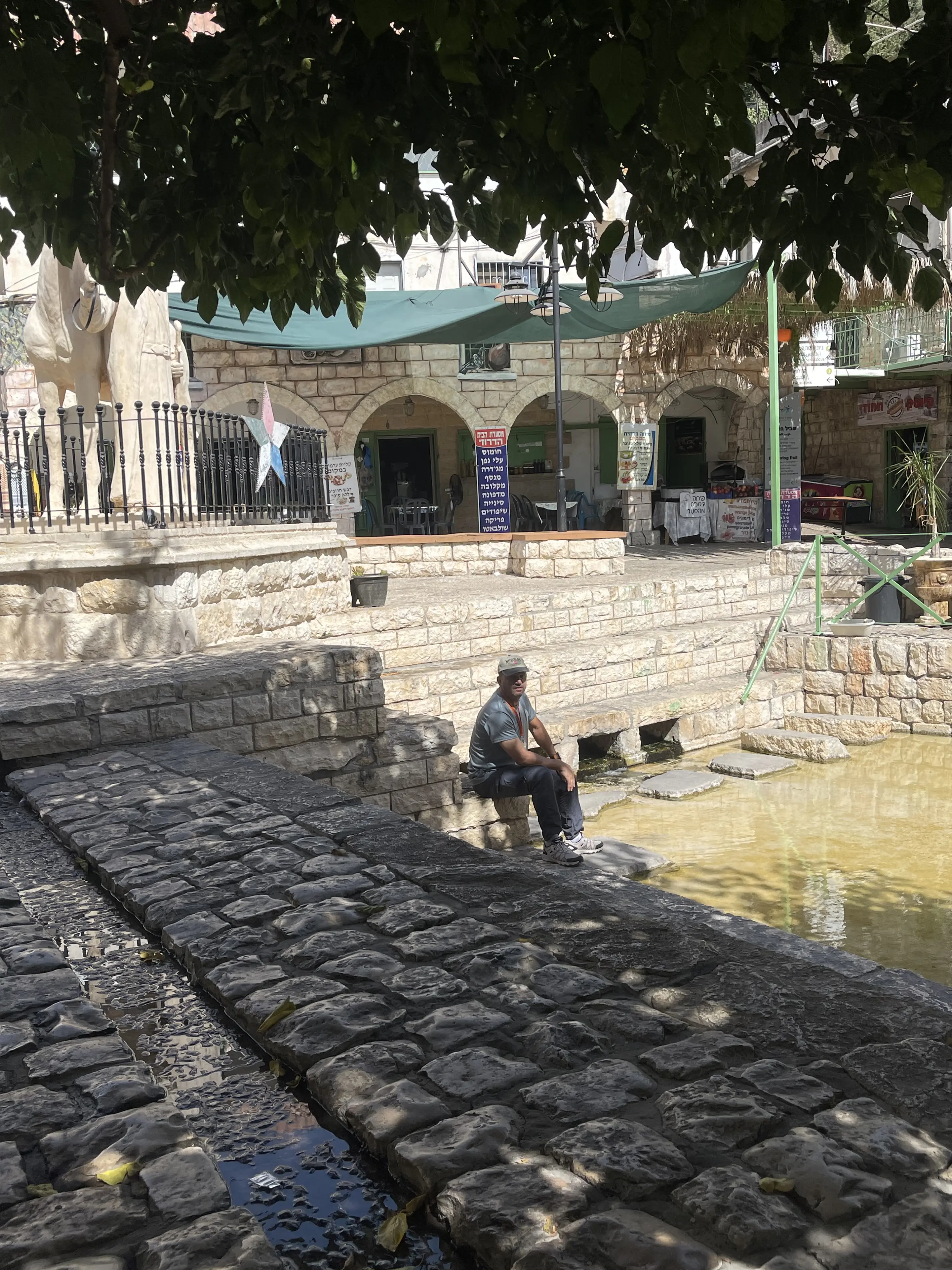 פקיעין
