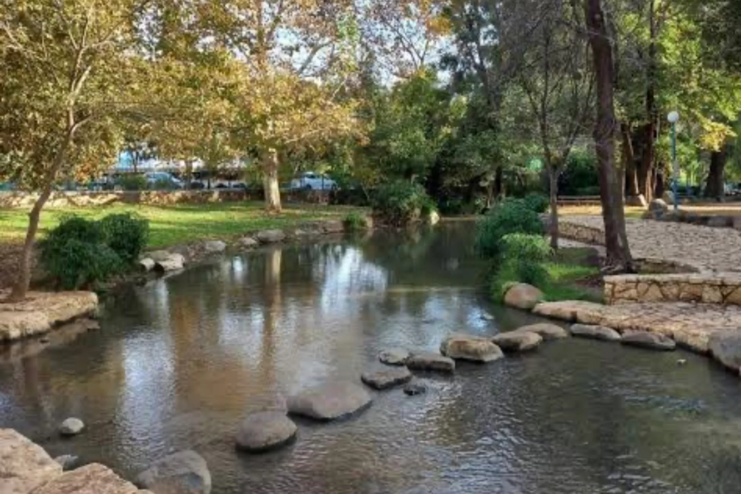 קסם הג'ונגל בלב העיר: סיור היסטוריה וטבע בקריית שמונה