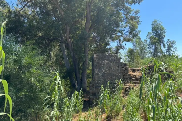 קרית שמונה