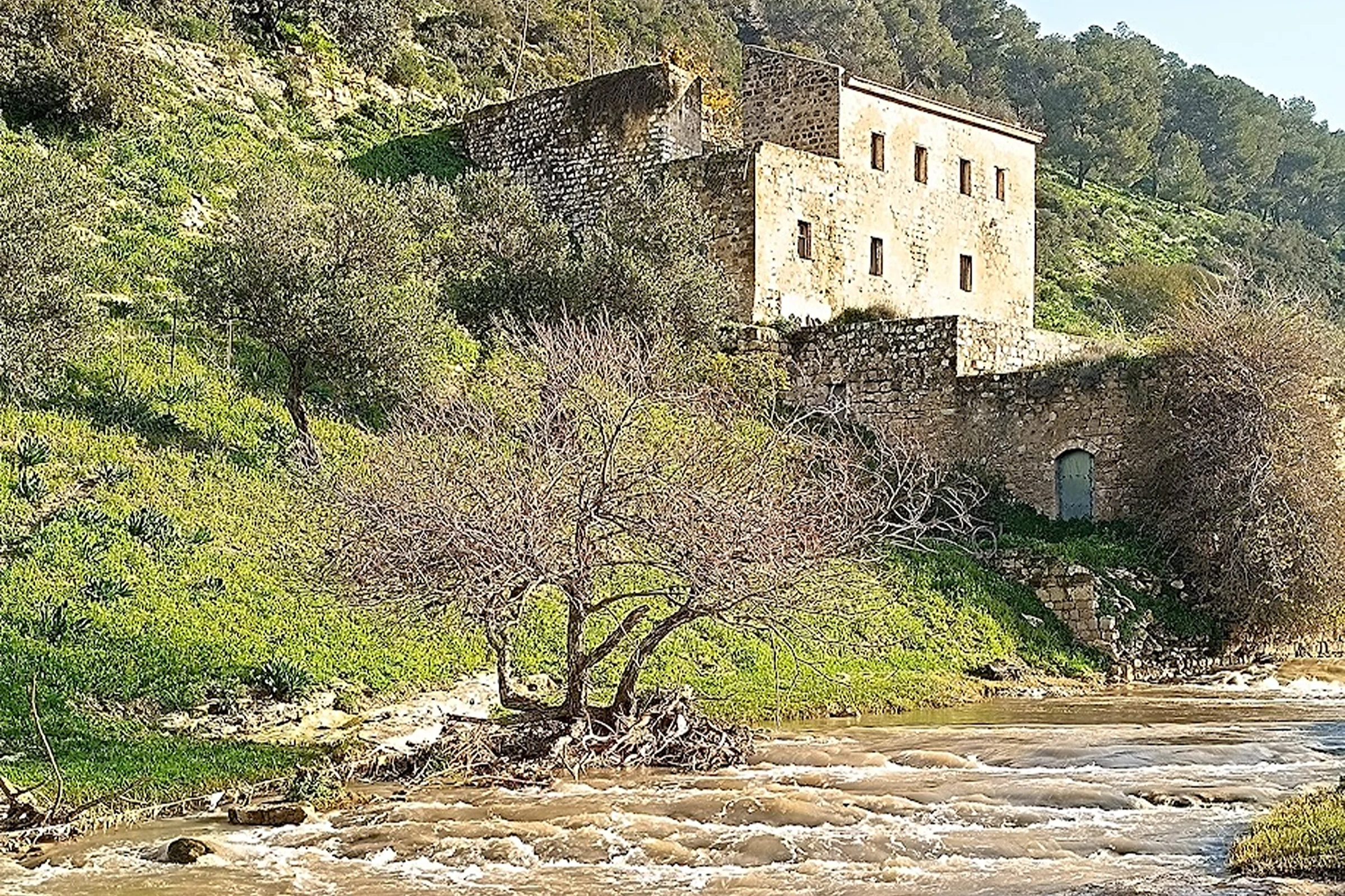 בניין ישן בין הטבע בנחל ציפורי