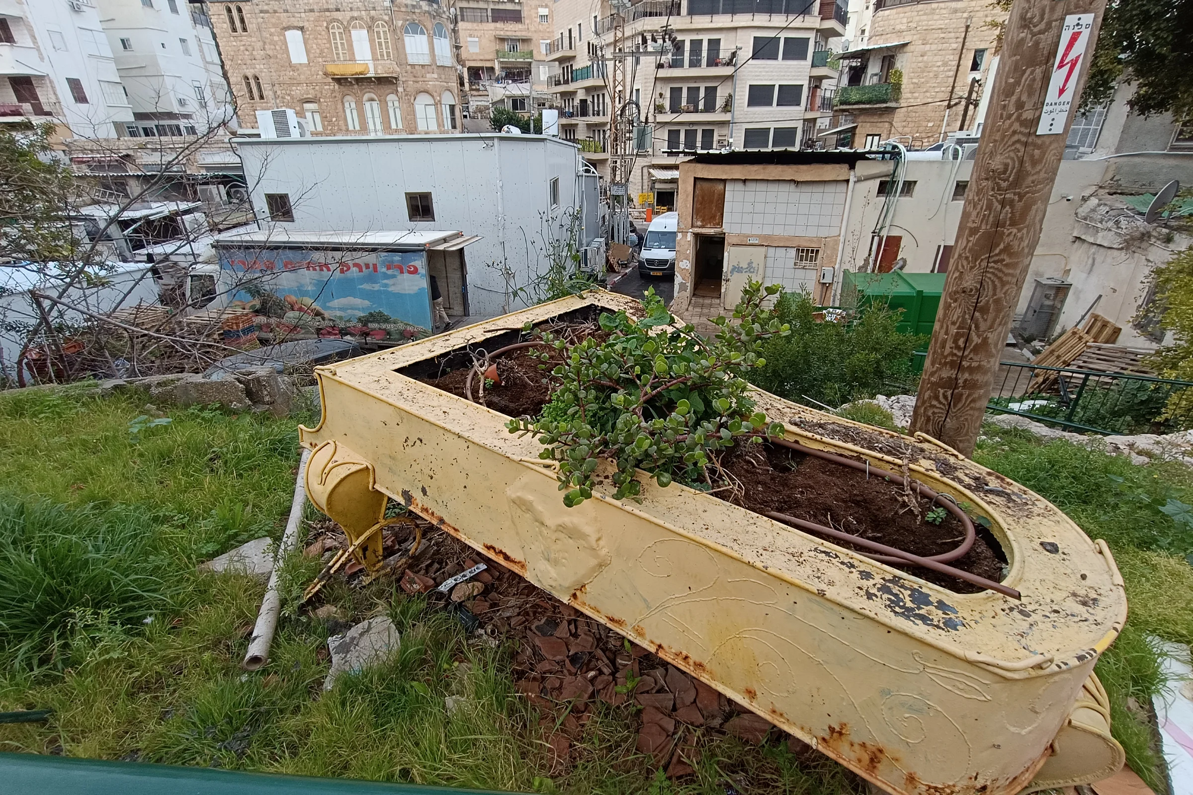 נהדרות – לגדל כנפיים ולהגשים חלומות