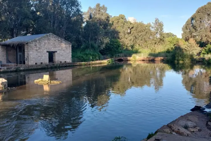 ירקון