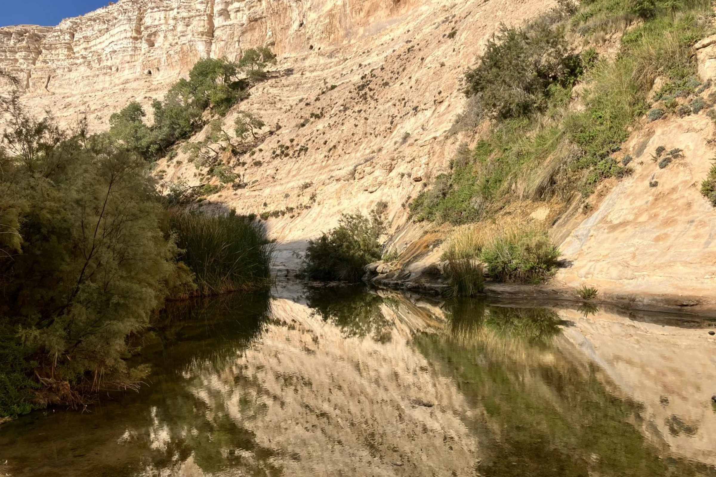 בין צוק למעיין – עין עבדת