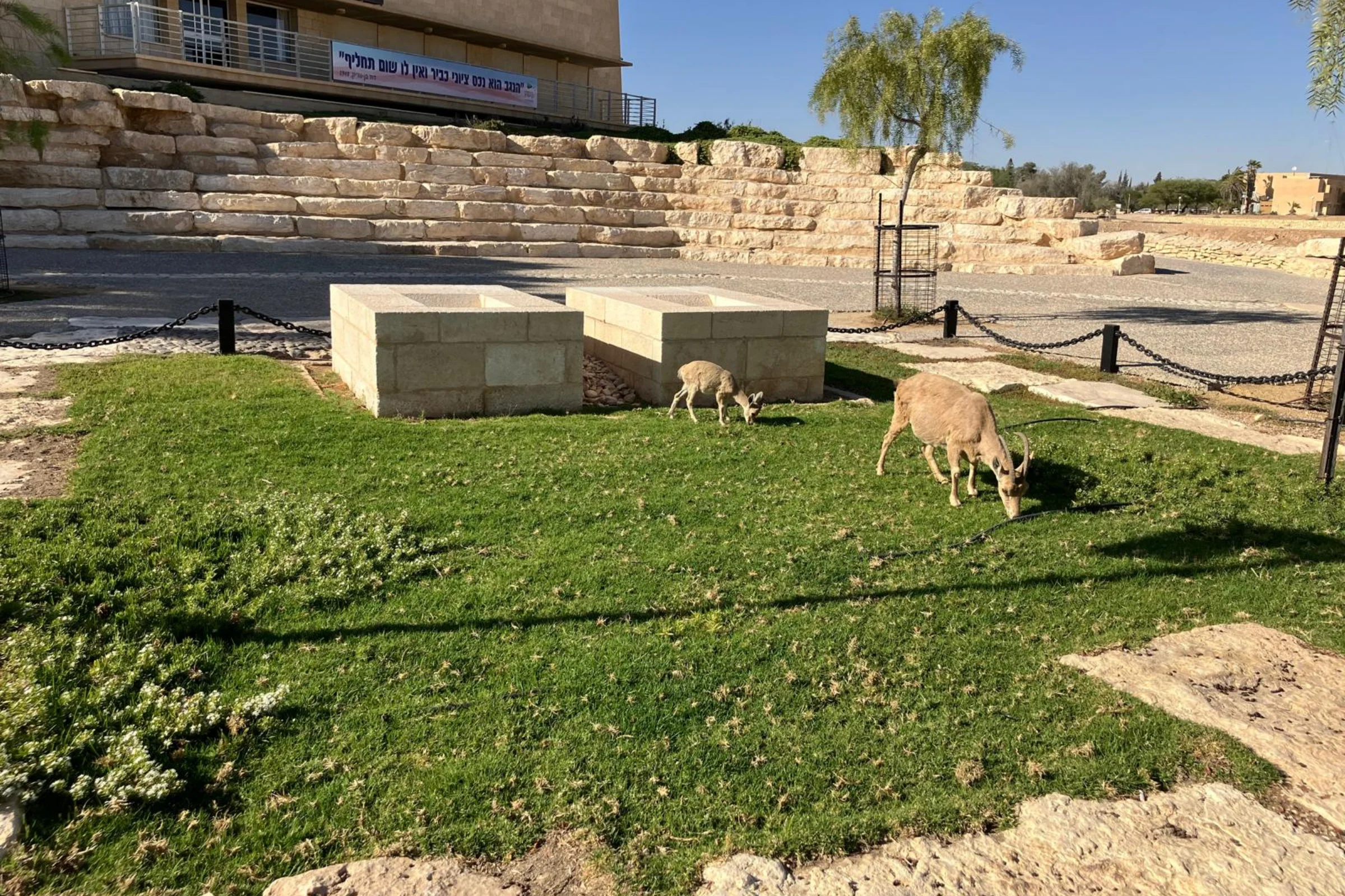 פולה