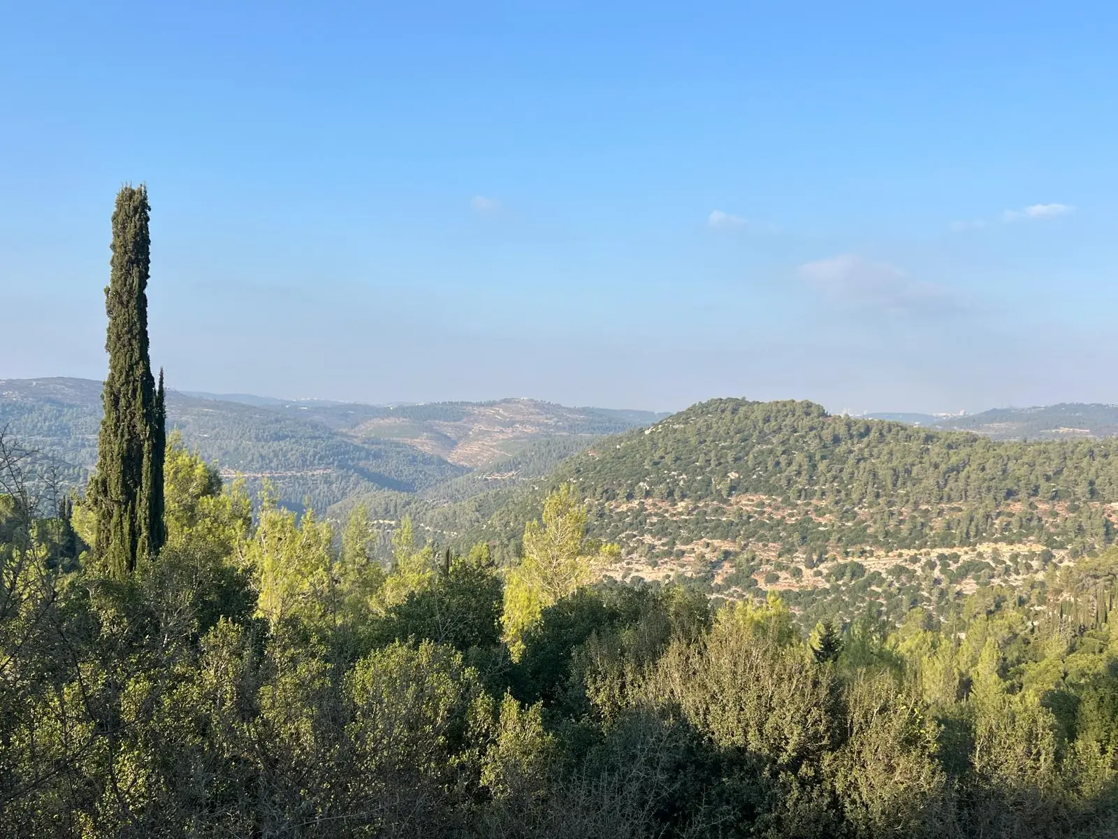 טיול נופי בשביל שוסטר (נחל קטלב)