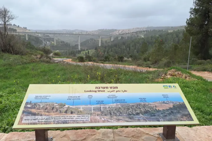 נוף ממצפה נפתוח