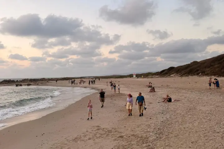 תל דור