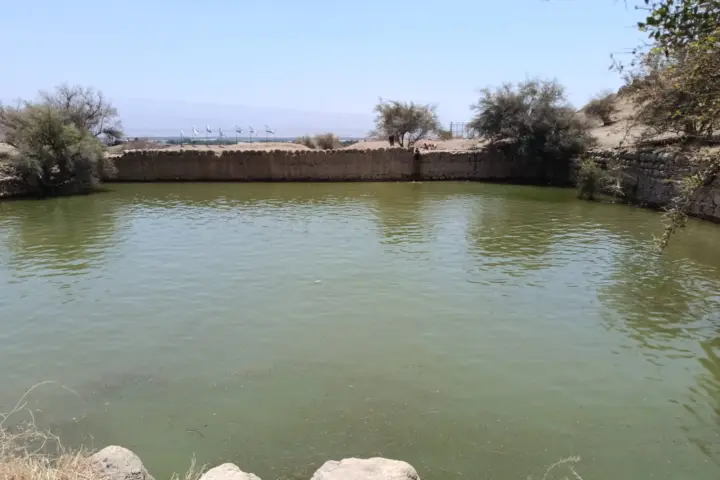 נוף מבריכת הורדוס