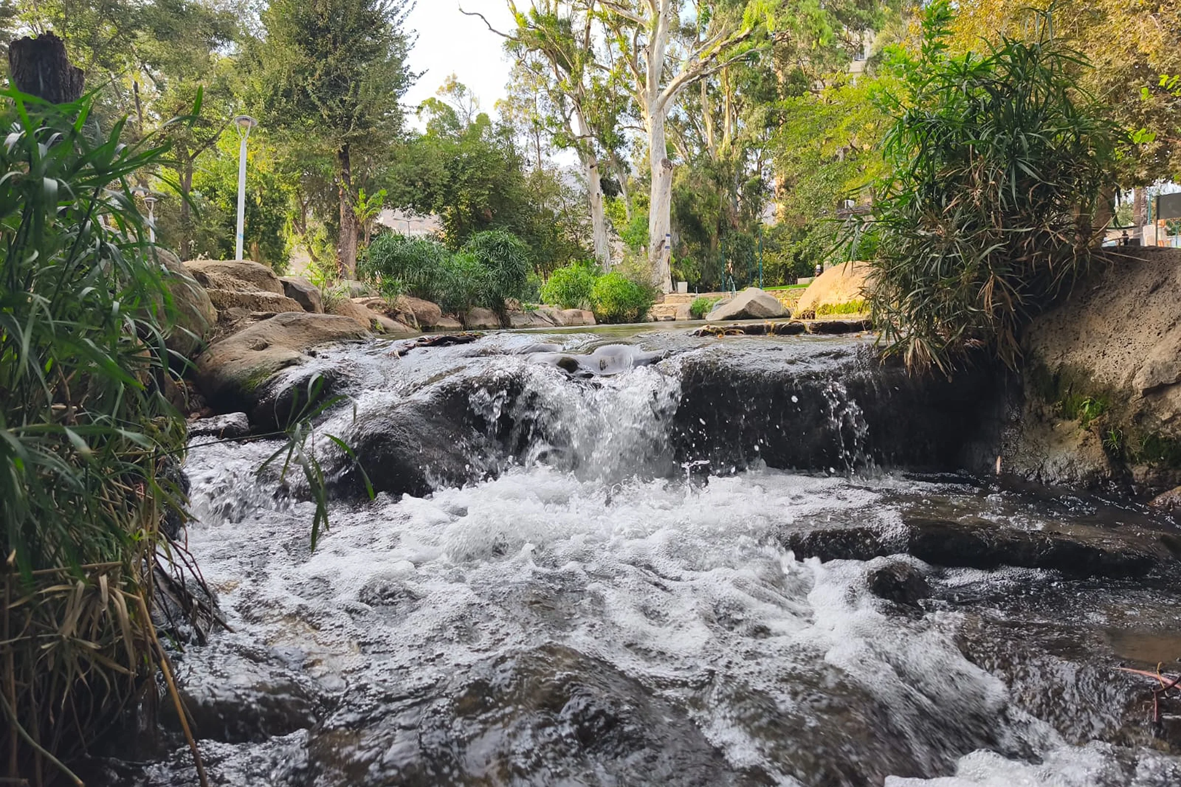 עיר הנחלים חוזרת לחיים