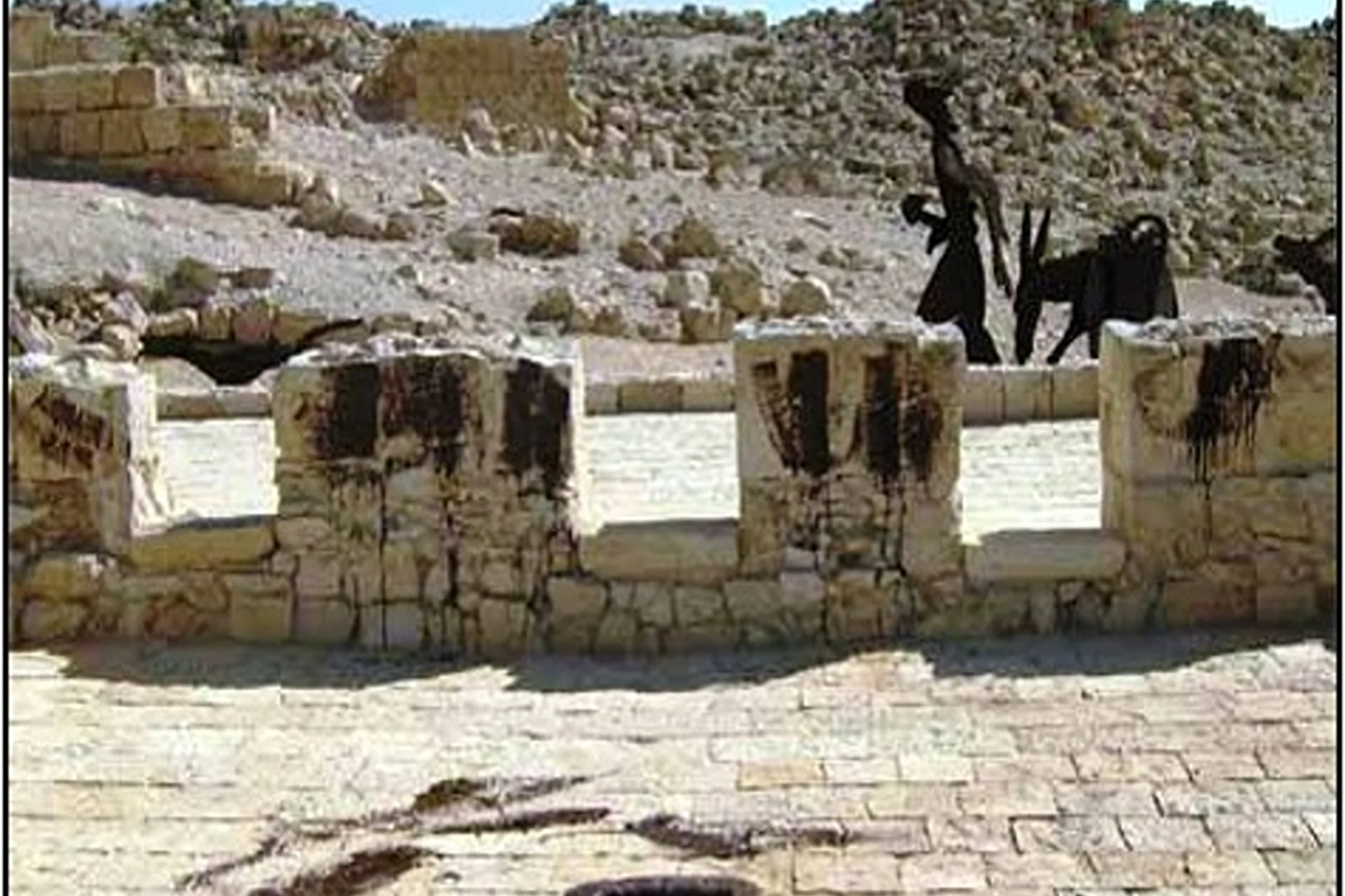 נגב