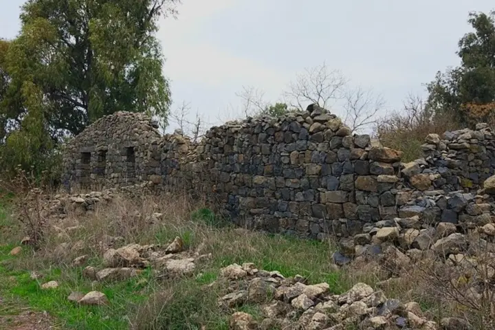 חשוניה