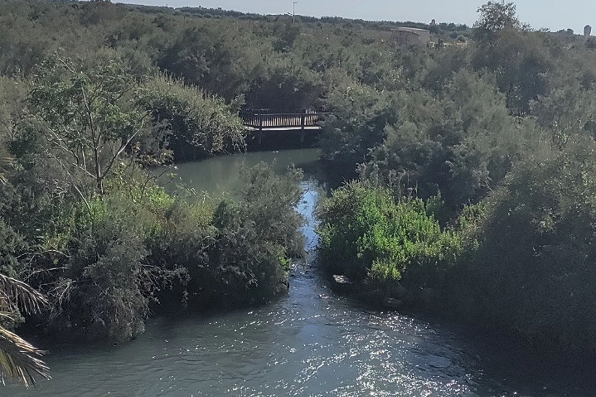 נחל תנינים