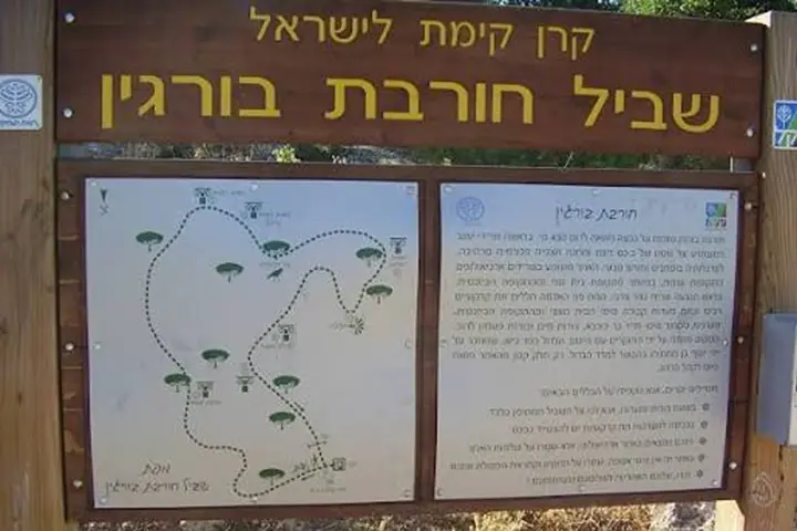 בורגין