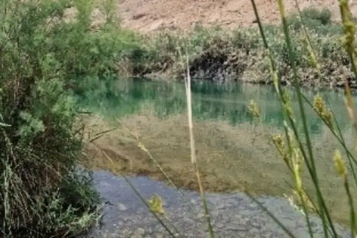 בריכת המעיין