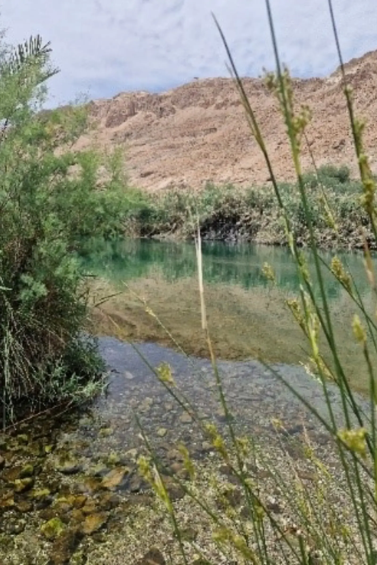 בריכת המעיין