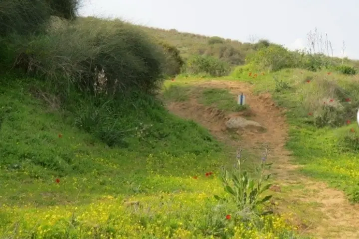 גממה