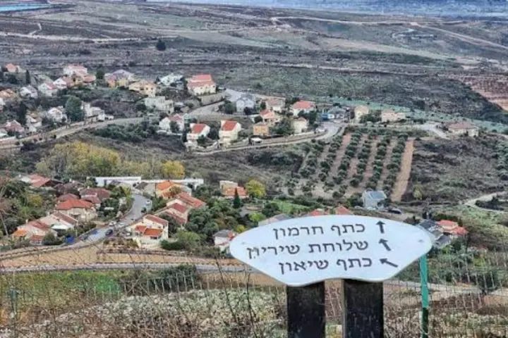 דדו