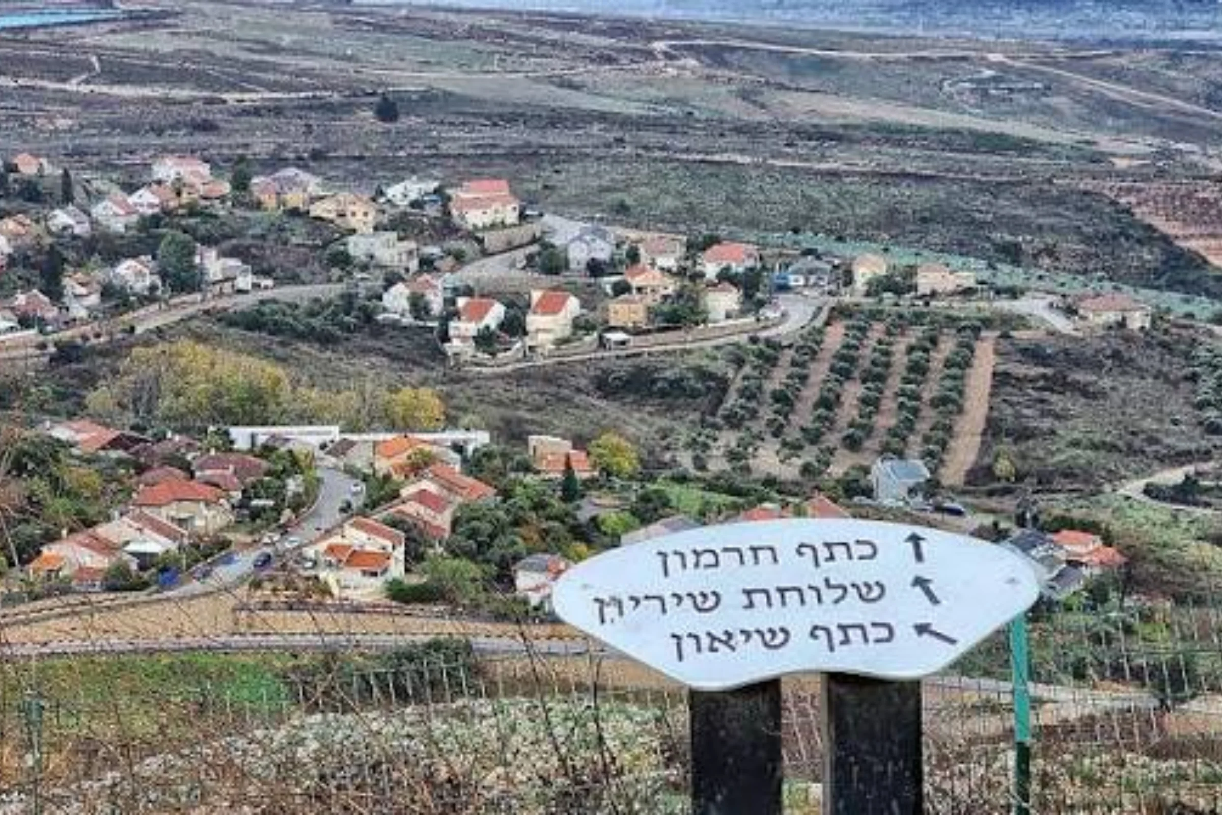 דדו