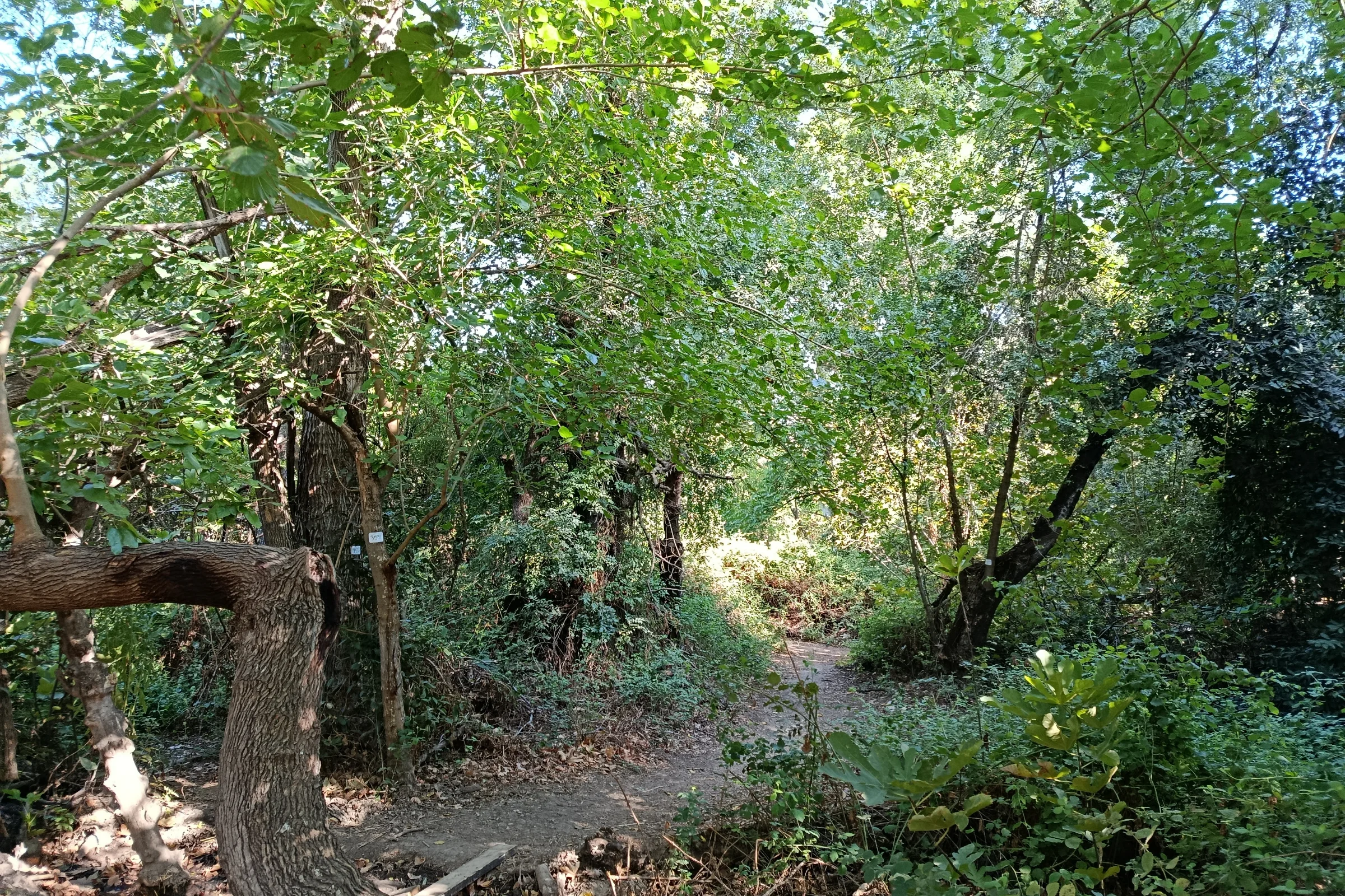 קריית שמונה – שורשים, זרמים ואתגרים לאורך השנים
