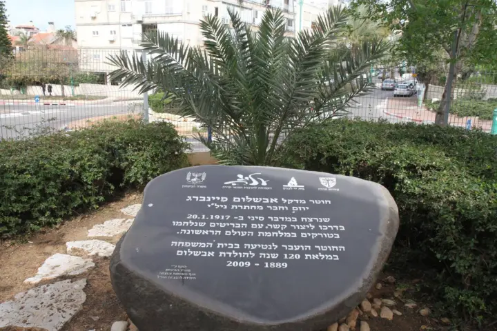 חוטר אבשלום