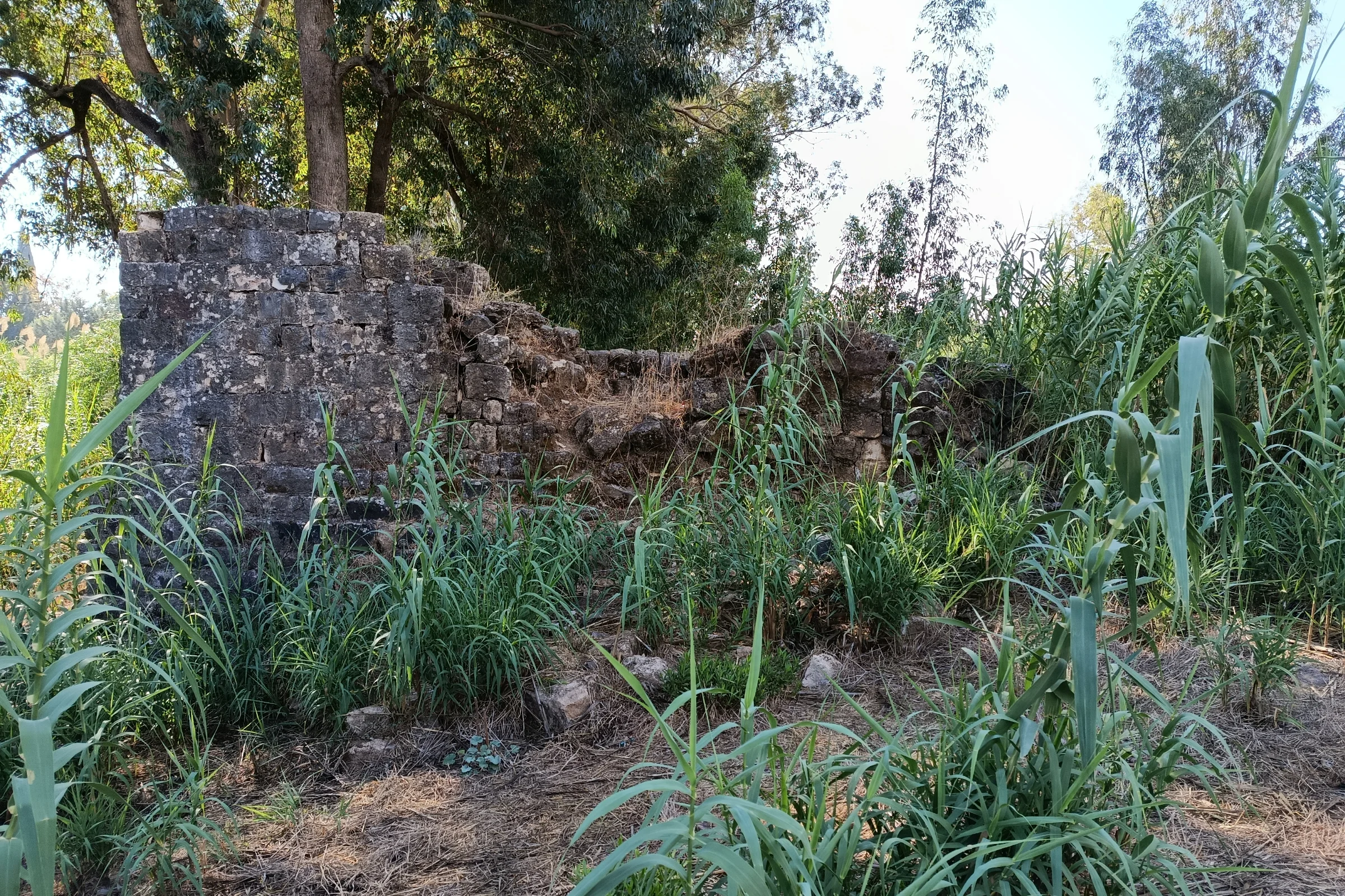 קריית שמונה – שורשים, זרמים ואתגרים לאורך השנים