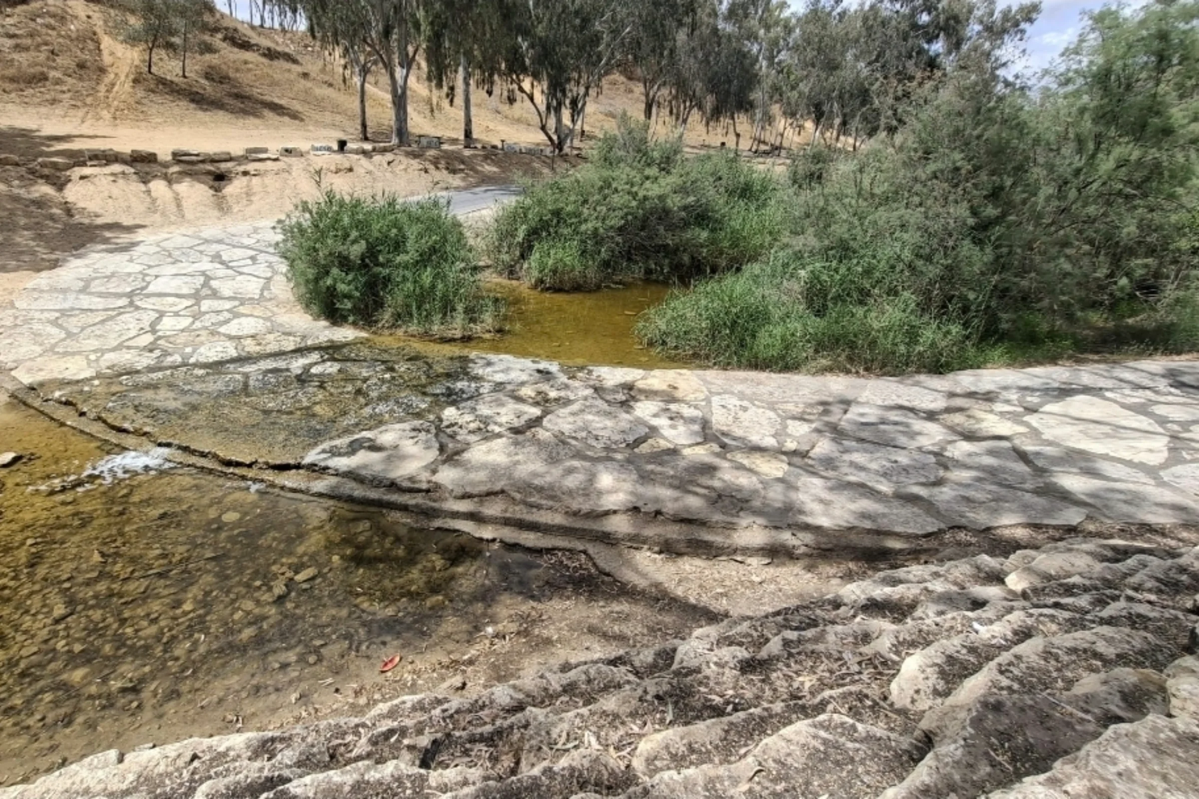 האי הירוק של הנגב – סודות נחל גרר