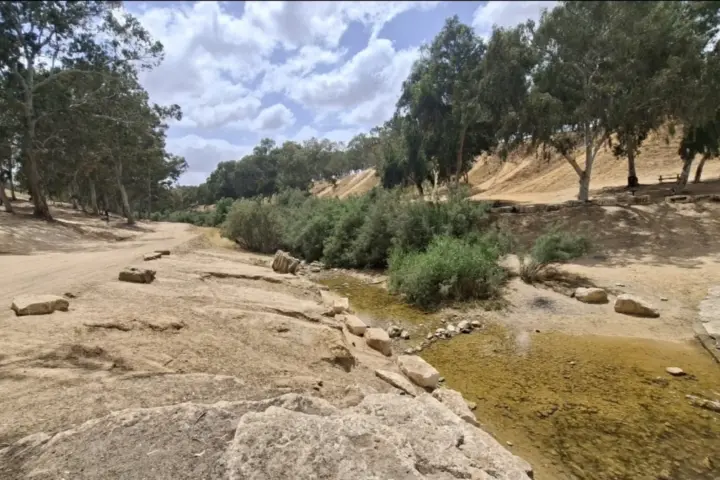 נחל גרר