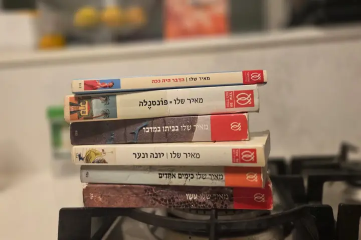 ירושלים של מאיר שלו