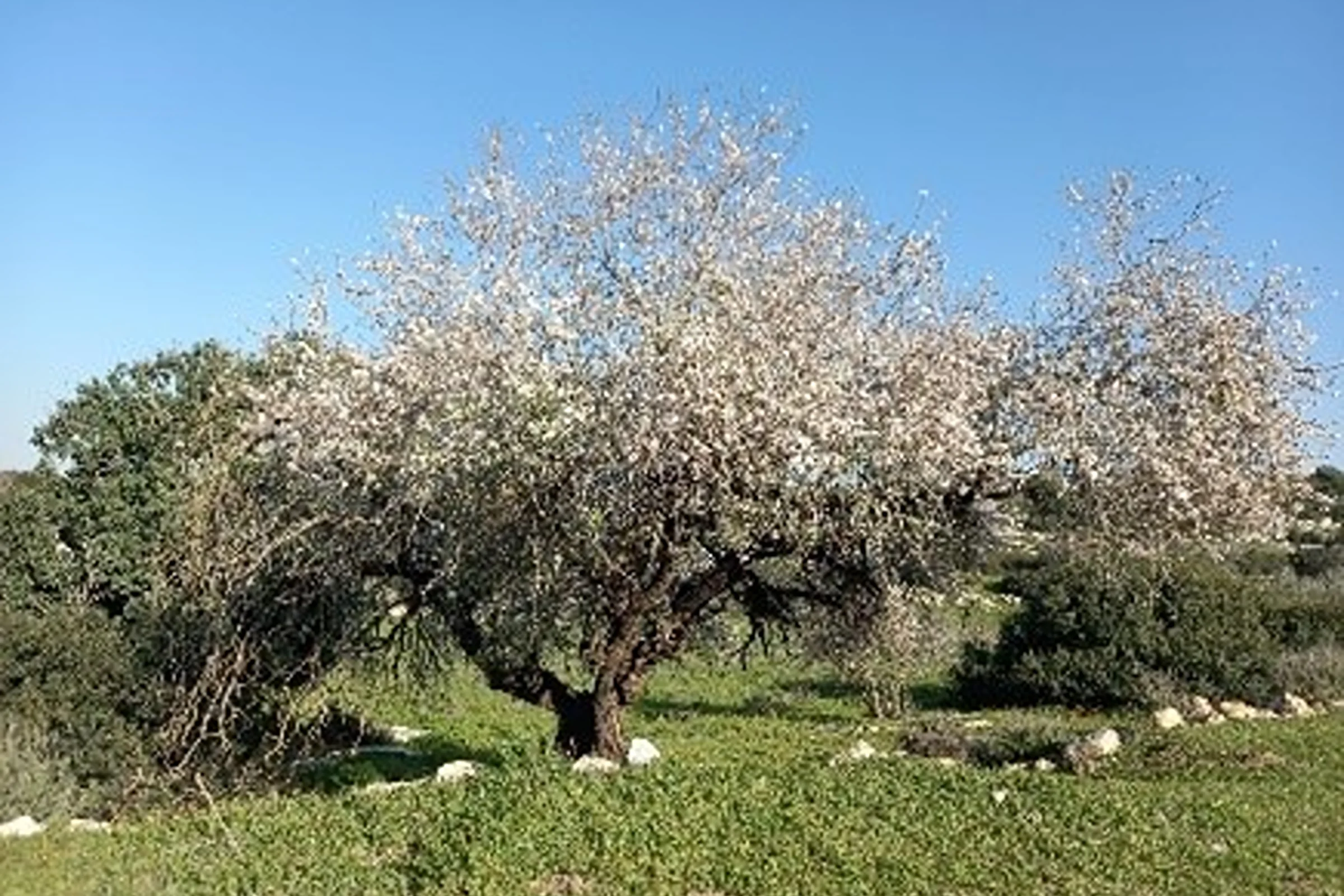Underground Jerusalem – from the King's Caves to the Queen's Cisterns