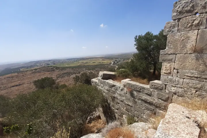 פדואל