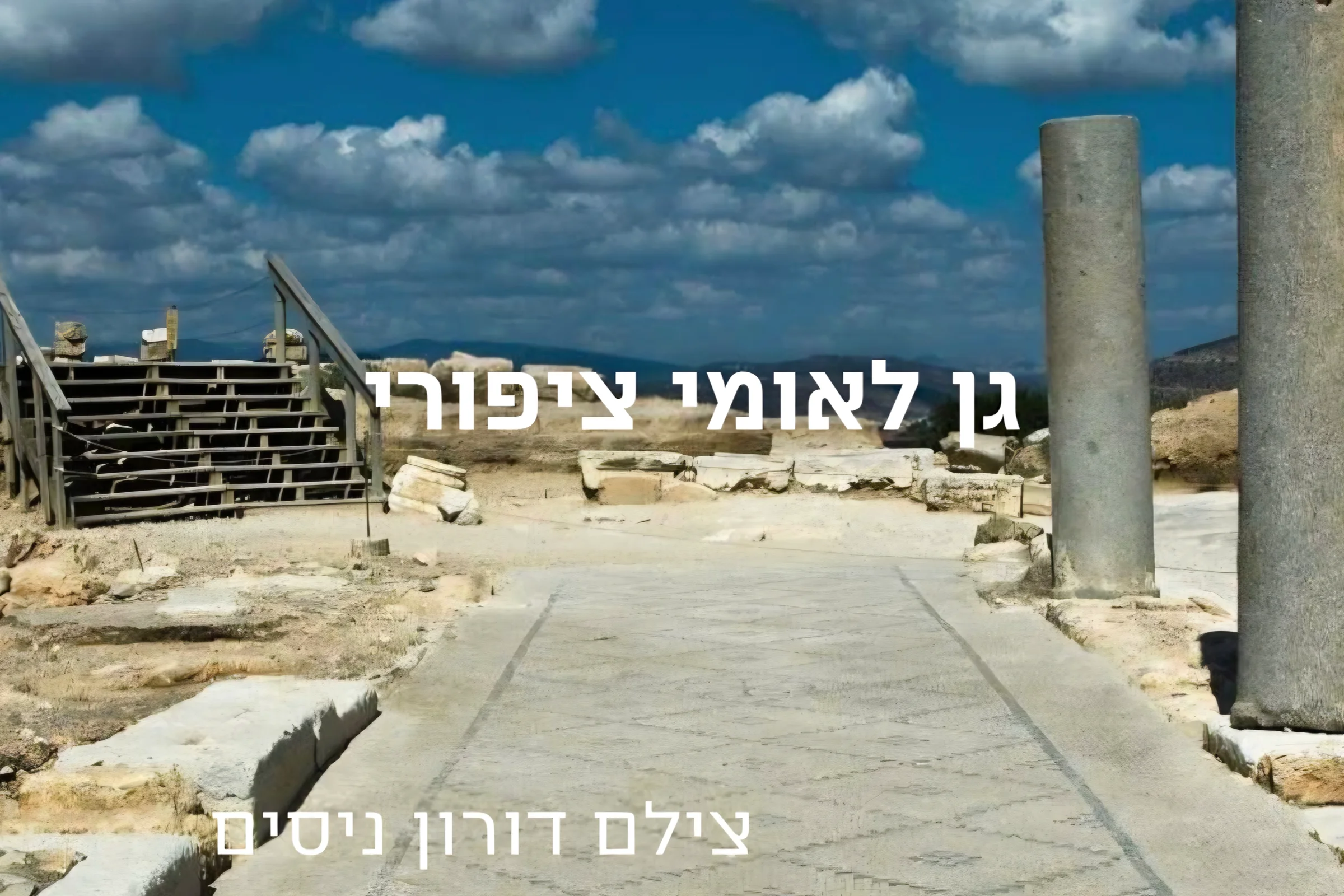 ציפורי