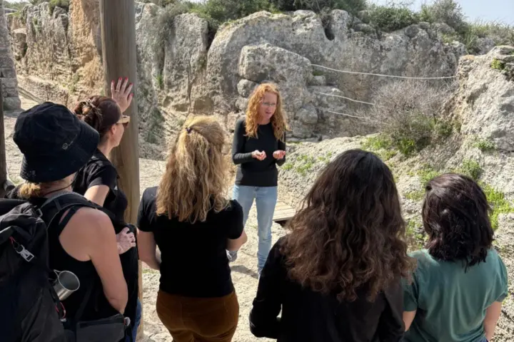 תנינים